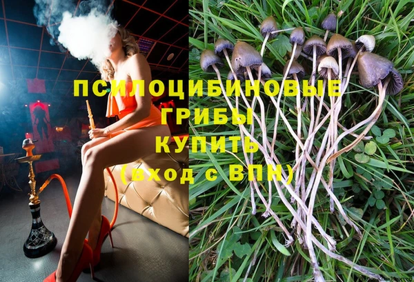ПСИЛОЦИБИНОВЫЕ ГРИБЫ Баксан