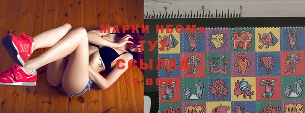 стаф Белокуриха
