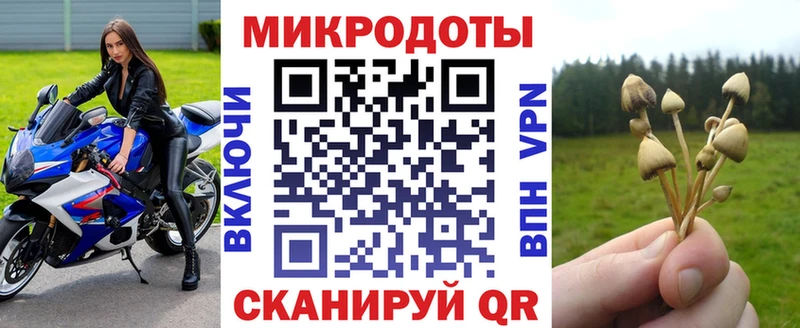 Псилоцибиновые грибы Cubensis  Верея 